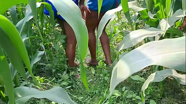 I took both my wives outdoors and had full fun with them in sugarcane, Desi Indian sex video
