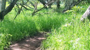 Pale Redhead Hikes Nude And Spreads Herself Open On Trail – Pepper Starks